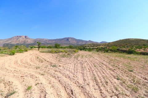Cortijo i Velez-Rubio, Almeria, Velez-Rubio - € 395.000 | Ref: 3022-CH - foto 48